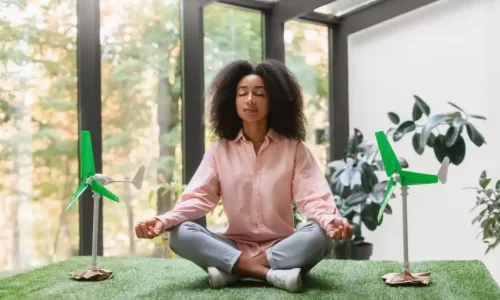 O Poder da Mente: Técnicas de Mindfulness e Meditação